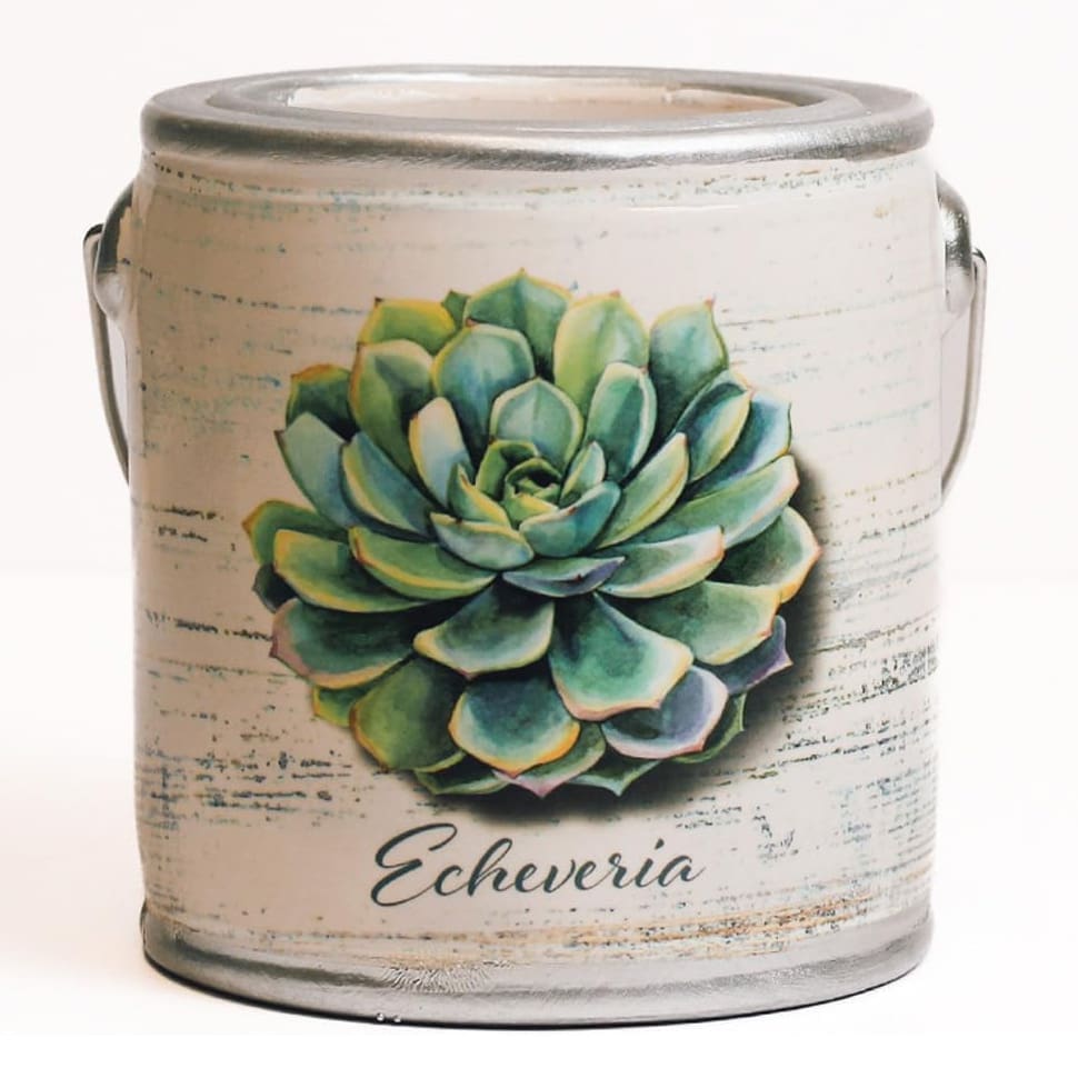 Succulent-Farm Fresh 20oz Candle, FR1164 - Handy Hands
